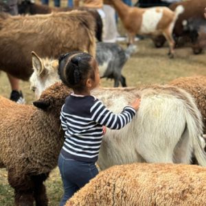 A Zoo To You Petting Zoo Rentals Discount Chicago Suburbs